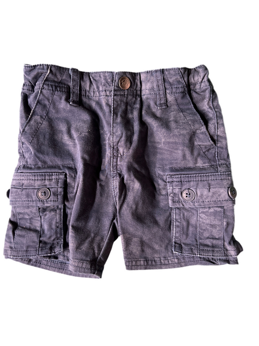 2 - Appaman shorts