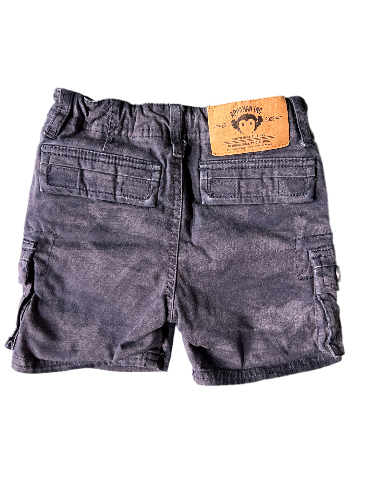 2 - Appaman shorts