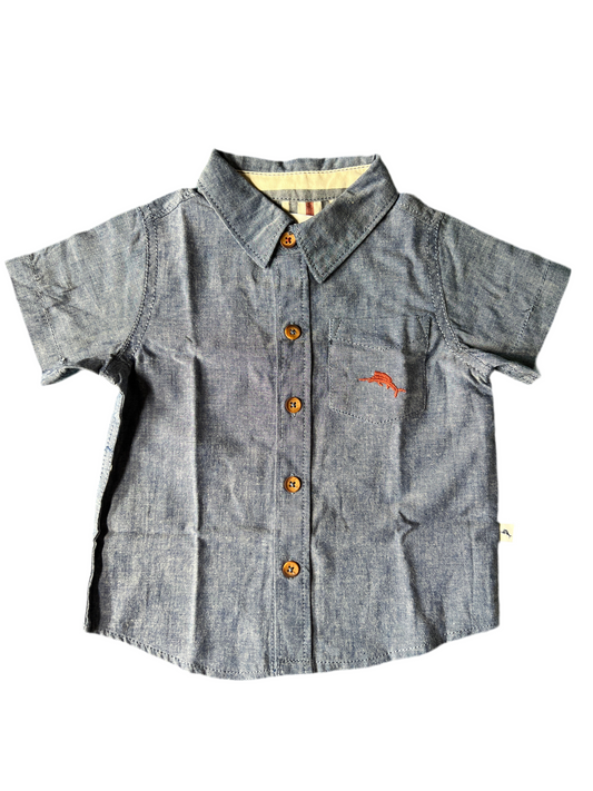 12m Tommy Bahama