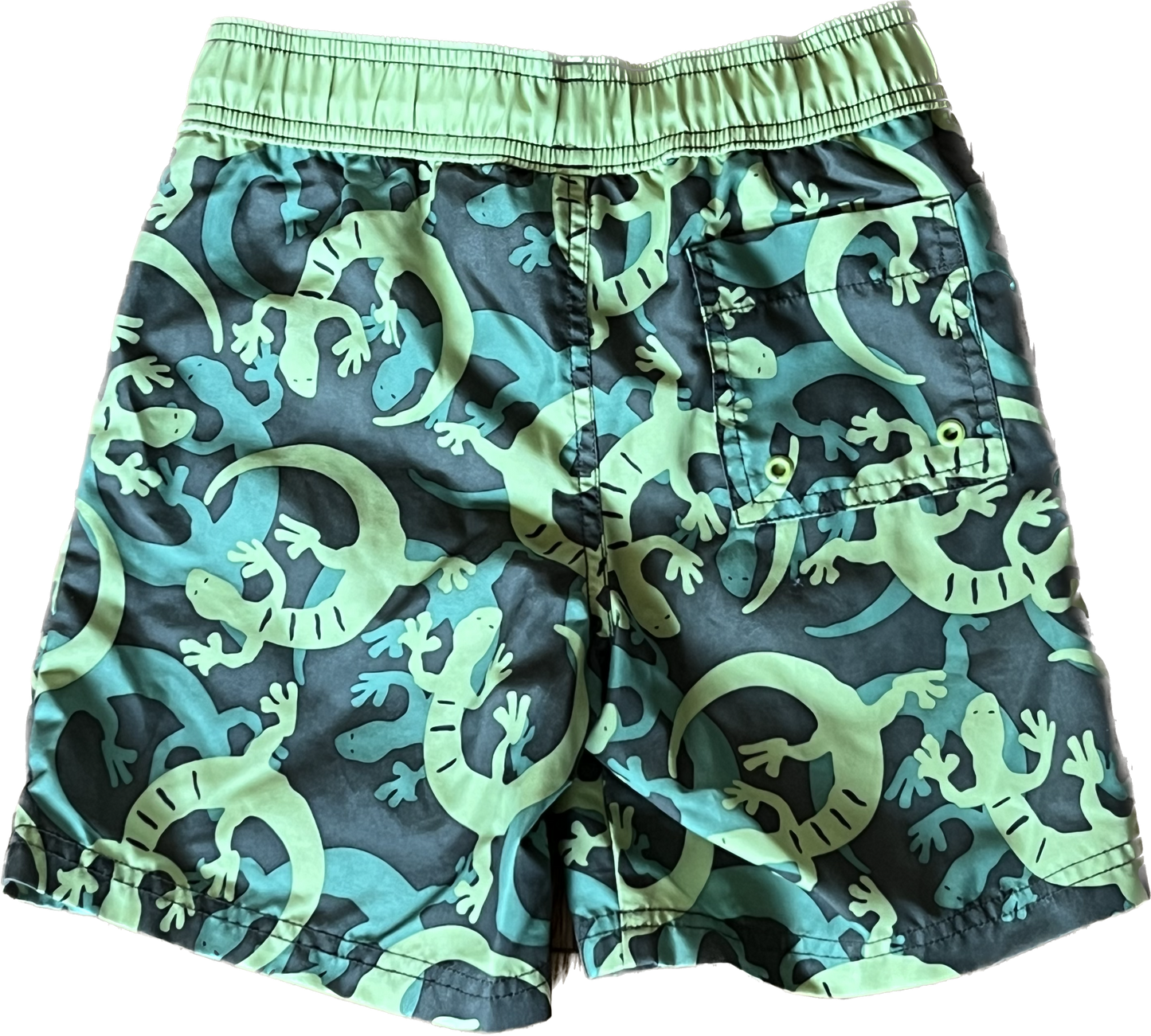 4 - Gymboree - Gecko swim shorts